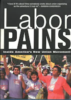 Cover of 'Labor Pains' by Suzan Erem 