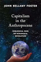 Capitalism in the Anthropocene